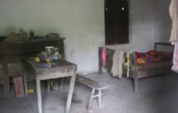 “Đừng gọi mẹ con là… người điên”