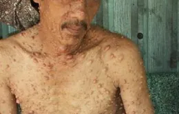 Hai cha con quanh năm "đứng không nổi, ngồi không yên"