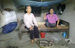 Số phận hẩm hiu của mẹ già tuổi "cổ lai hy"