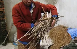 Con gái tâm thần nuôi cha bại liệt