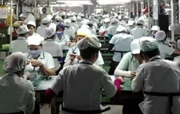 Tốt nghiệp đại học ra làm... công nhân