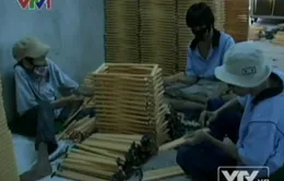 Khi người khuyết tật tìm niềm vui từ lao động...
