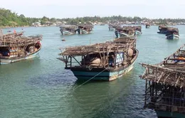 Vì sao ngư dân câu mực “giải nghệ”?
