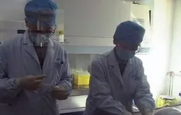 Trung Quốc: Phát hiện thêm 3 trường hợp nhiễm virus H7N9