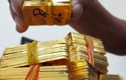 25.700 lượng vàng đấu thầu thành công trong phiên thứ 13