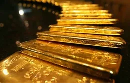 Phiên đấu thầu vàng miếng 15, chào bán 26.000 lượng