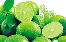 Dân hoang mang vì nông sản Trung Quốc nhiễm bệnh