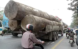 Đà Nẵng: Xử lý xe quá tải vẫn nửa vời
