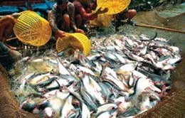 NHNN yêu cầu giảm lãi suất cho vay một số lĩnh vực
