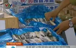 Phát hiện 1,2 tấn hải sản cao cấp quá hạn sử dụng