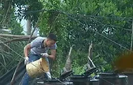 Khởi tố vụ án “rút ruột” xăng dầu ở Quảng Ninh