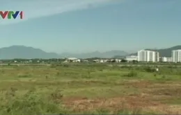 Nông dân lao đao vì... giải tỏa 