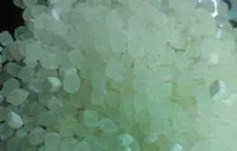 Kĩ nghệ chế nước phở không cần xương 