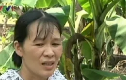 Éo le cảnh 2 vợ chồng cùng mắc ung thư