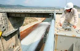 Kiểm tra khẩn độ an toàn đập hồ thủy lợi, thủy điện