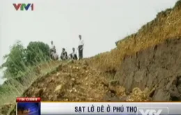 Sạt lở đê nghiêm trọng tại Phú Thọ