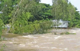 Dân nghèo thành thị dễ bị tổn thương do biến đổi khí hậu