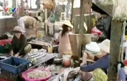 Kinh hoàng “công nghệ” chế biến chả cá