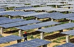 Trung Quốc và EU đạt thỏa thuận về pin Mặt Trời