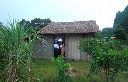 Khát vọng có ly sữa cho con của hai vợ chồng “ngớ ngẩn”