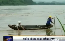 Nước sông Thao dâng cao, gây sạt lở nghiêm trọng 