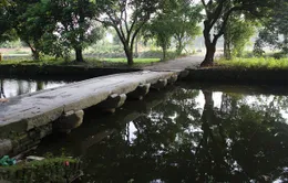 Quy hoạch tổng thể bảo vệ thành cổ Luy Lâu 