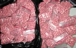 Bắt vụ vận chuyển gần 6.000 viên ma túy tổng hợp