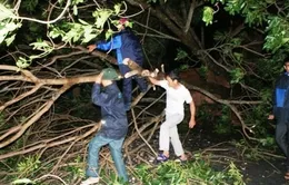 Tìm thấy thi thể nạn nhân hiếu kỳ xem sóng ở Đồ Sơn