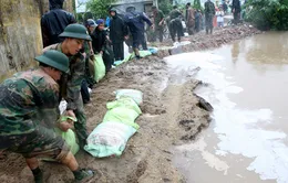 Hà Nội: Nước sông Nhuệ tràn đê