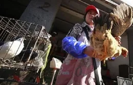 Trung Quốc phát hiện ca nhiễm H7N9 mới