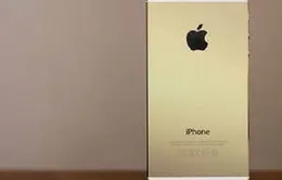 Tiếp viên Vietnam Airlines buôn lậu 50 iPhone 5S