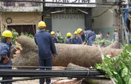 Thanh tra các công ty có lãnh đạo nhận lương "khủng”