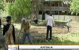 "Vườn cộng đồng” cho người tị nạn tại Australia