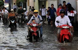 Triều cường gây ngập nặng ở nhiều tỉnh ĐBSCL