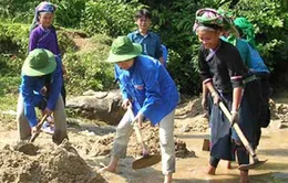 Chương trình tình nguyện mùa đông năm 2013
