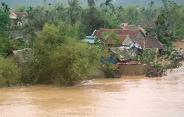 VIDEO: Nhà cửa tại Quảng Bình chìm dần trong biển lũ