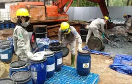 Vụ chôn thuốc trừ sâu: Khai quật 2,5 tấn vẫn chưa hết