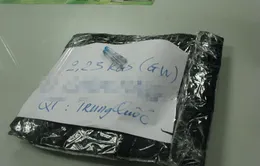 Bắt đối tượng vận chuyển 2,2kg ma túy đá