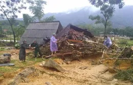 Hà Tĩnh xin hỗ trợ giống, hóa chất khôi phục sản xuất