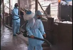 Yêu cầu tăng cường phòng chống dịch bệnh sau bão lũ