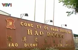 Phát hiện vụ xả thải nghiêm trọng tại TP.HCM