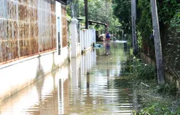 Ngập úng và lũ lên nhanh tại nhiều địa phương