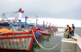 Đánh chìm xà lan nặng 100 tấn để tránh siêu bão