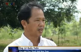 Kon Tum: Nhiều doanh nghiệp nợ thuế hàng trăm tỷ đồng