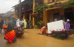 Hội An ngổn ngang chống lũ 