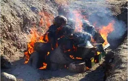 Peru: Tiêu hủy hơn 8 tấn ma túy