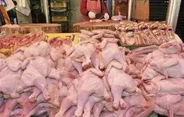 Nhập khẩu thịt tăng mạnh