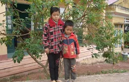 Gia đình ăn nhầm... thuốc diệt cỏ cần sự trợ giúp