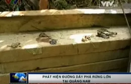 Quảng Nam vào cuộc xử lý đường dây phá rừng sau khi VTV phát sóng