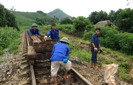 Đẩy nhanh tiến độ thi công tuyến đường sắt Yên Viên - Lào Cai